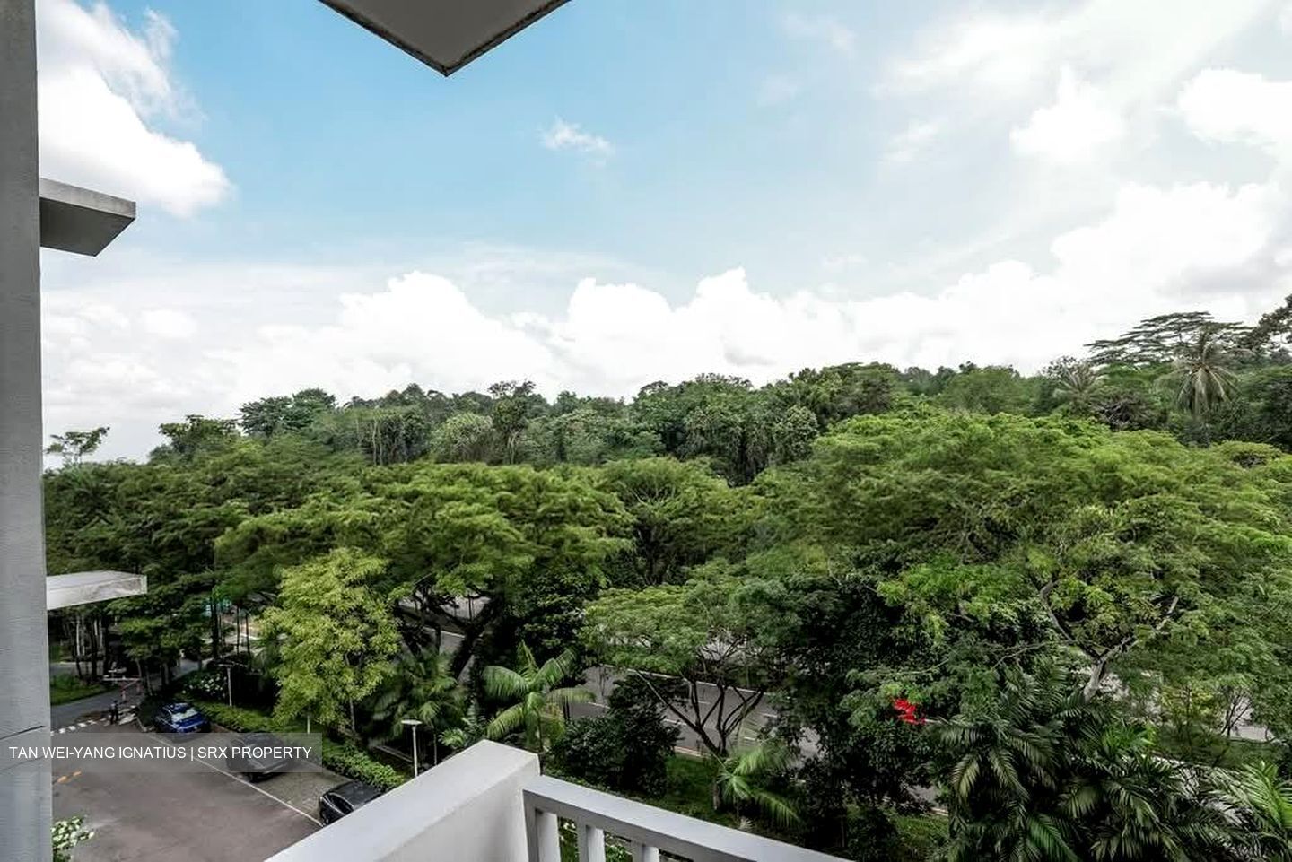 Meadows @ Peirce (D26), Condominium #576779831